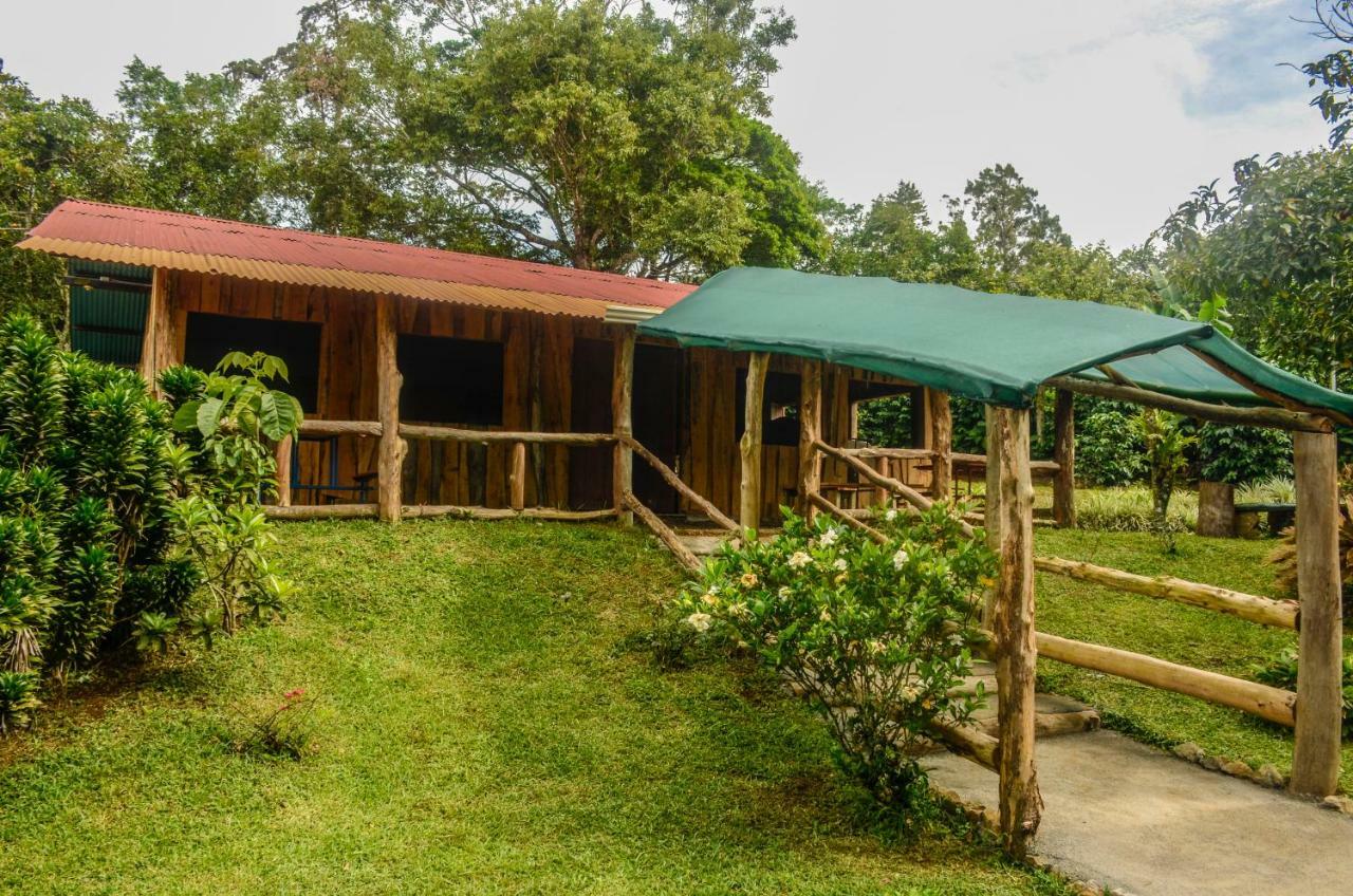 Batsu Ecolodge & Coffee Farm Сан-Рамон Экстерьер фото